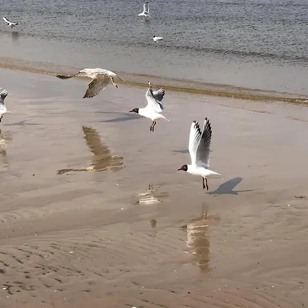 Aparthotel Lazur Apartamenty